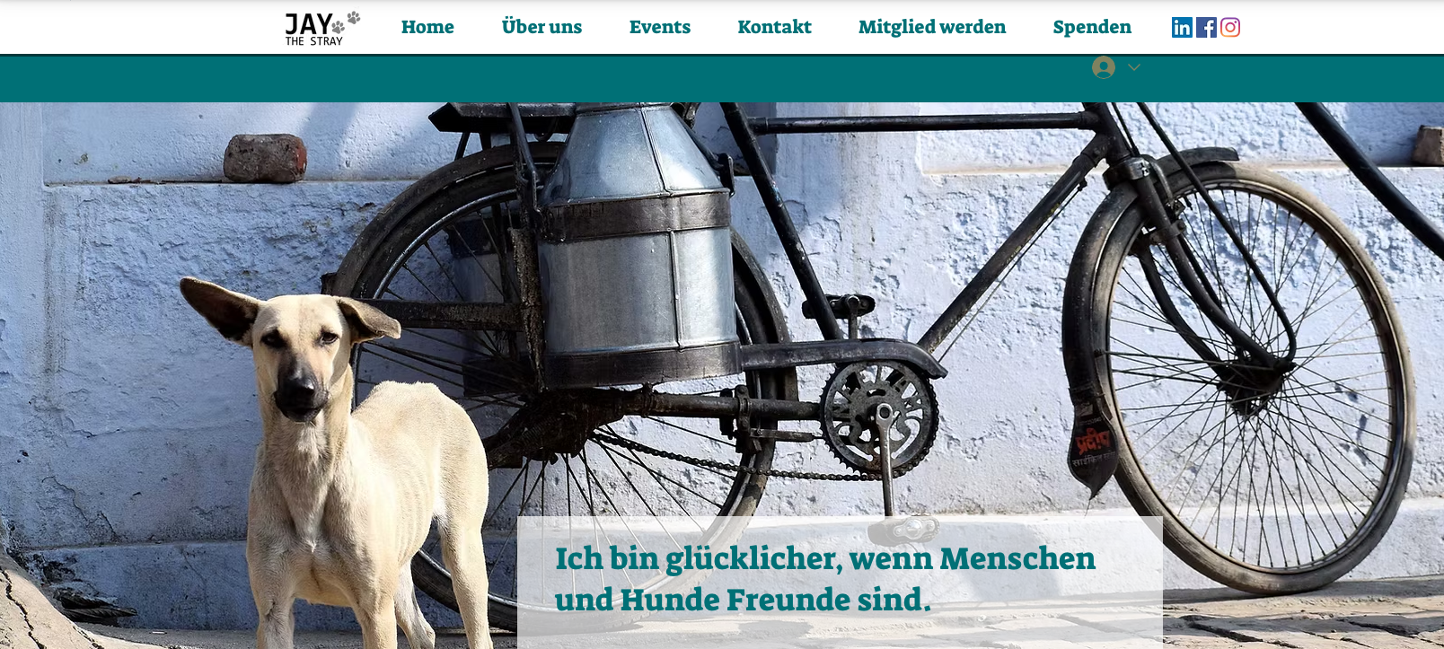 Jay the Stray Rescue – Projektausschnitt
